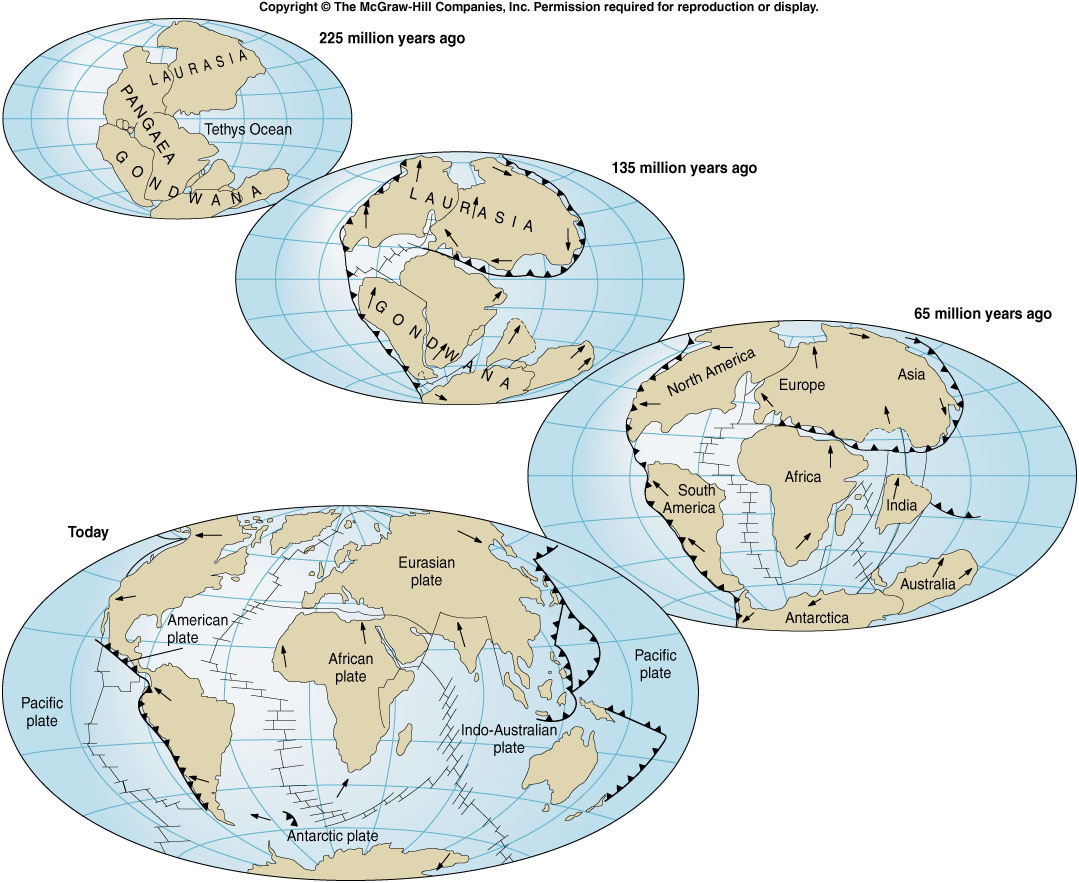 Continental drift | Geology, Fantasy world map, What is geography